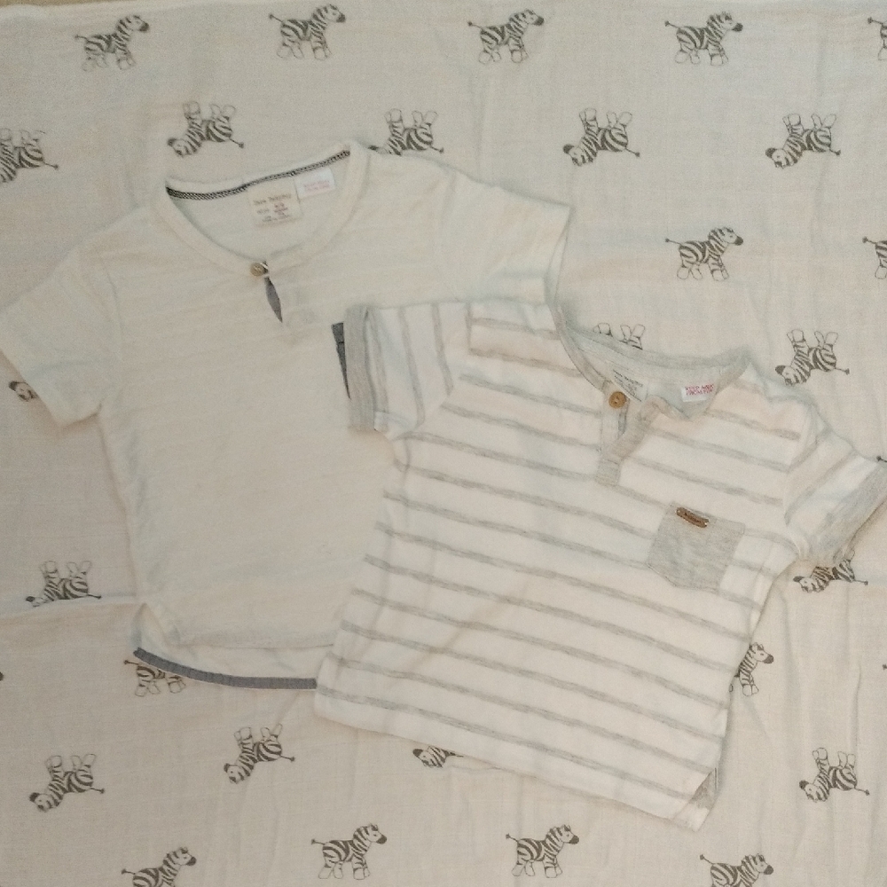 Zara White and Gray Short Sleeve Tees